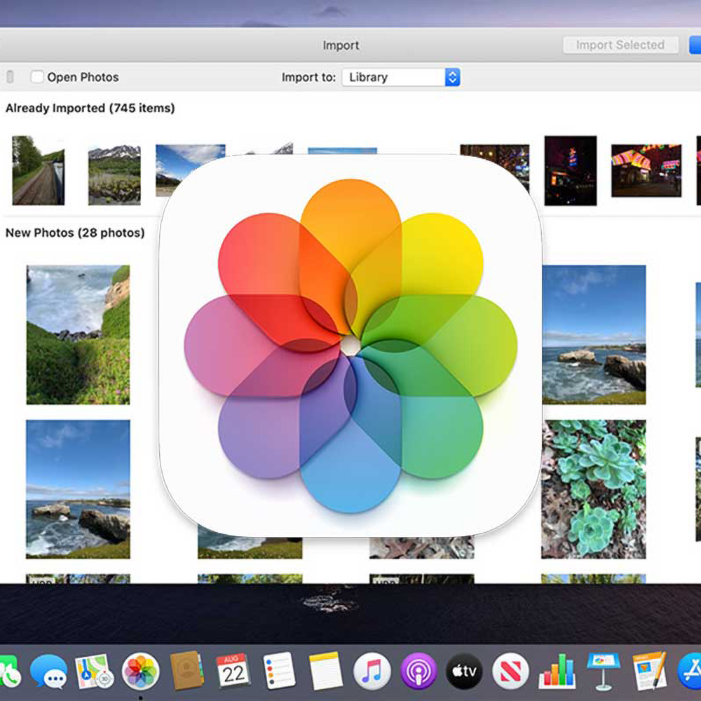 How To Organize Your iPhone Photos